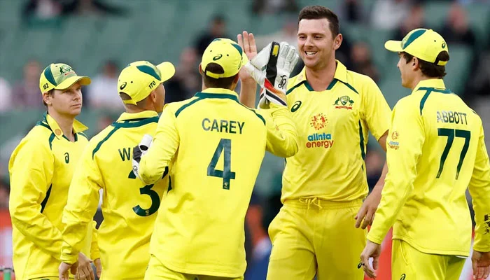 357505 2958921 Updates