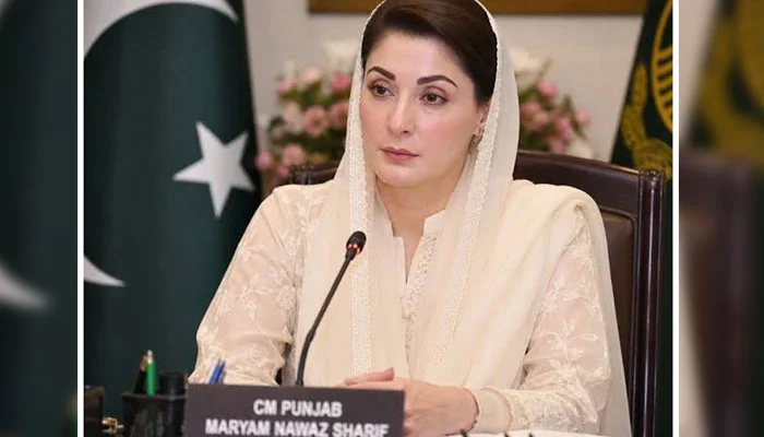 مریم نواز کا بڑا اعلان، پنجاب میں شہریوں کے بیشتر کام آن لائن ہوں گے